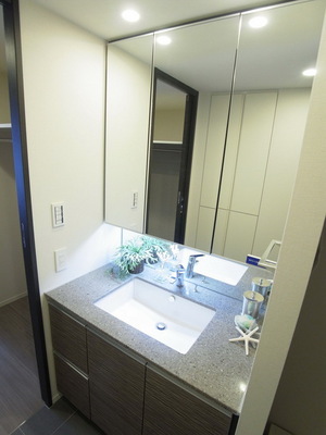 Washroom. Bathroom vanity