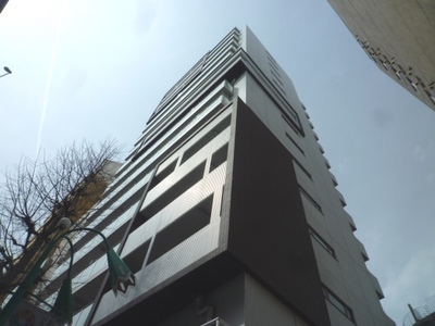 Building appearance. Mansion Type