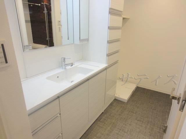 Non-living room. Spacious wash room