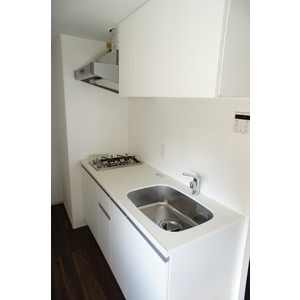 Kitchen. The room is a picture of the same type.