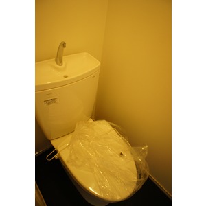 Toilet. The room is a picture of the same type.
