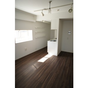 Living and room. The room is a picture of the same type.
