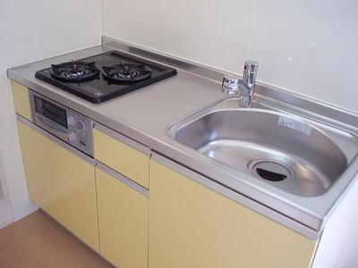 Kitchen. Kitchen with gas two-burner grill