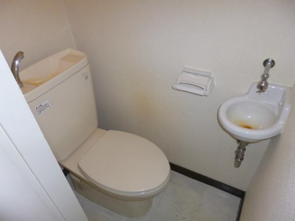 Toilet. State before demolition