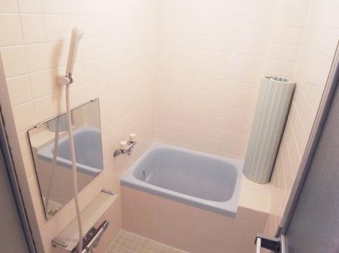 Bath. Bathroom is also beautiful to replaced.