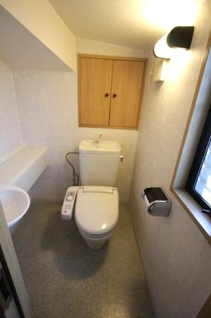 Toilet. Basin with toilet