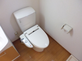 Toilet. Cleaning function with toilet seat