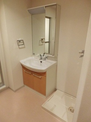 Washroom. Independent wash basin