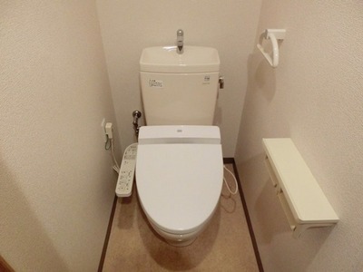 Toilet. Warm water washing toilet seat