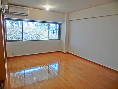 Living and room. Living-dining