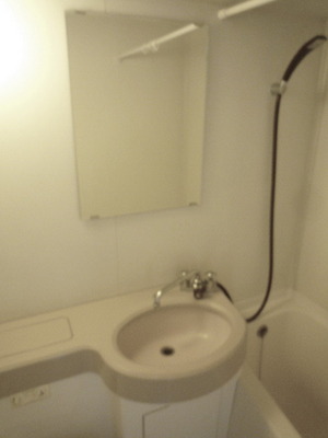 Washroom. Wash basin