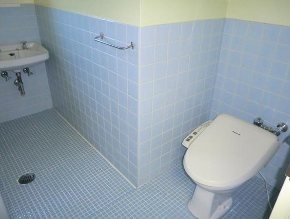 Toilet. It is also nice point with bidet!