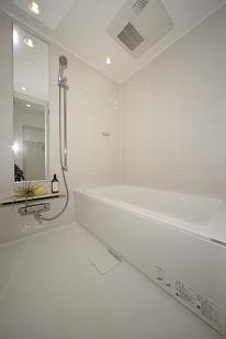 Bath. With reheating function