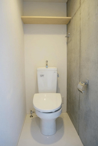 Toilet. Warm water washing toilet seat