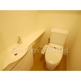 Toilet. Shoot the same type the third floor of the room. Specifications may be different.