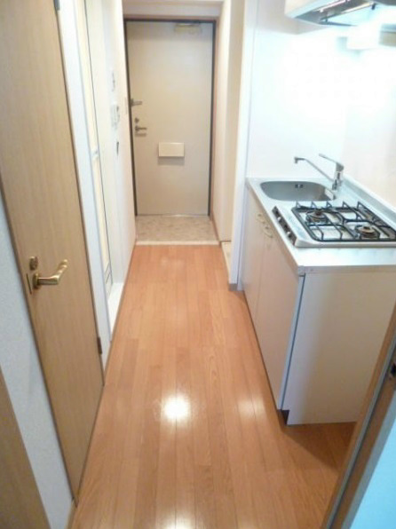 Entrance. For indoor beauty room.