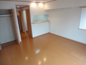 Living and room. And indoor cleaning after application