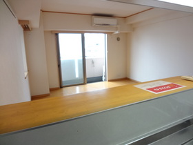 Living and room. The view from the counter