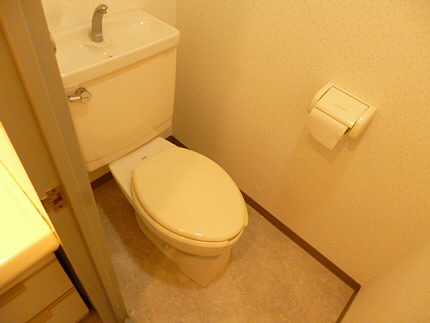 Toilet