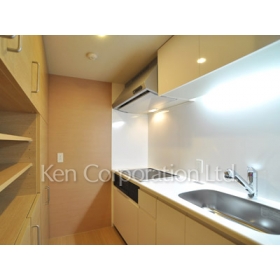 Kitchen. Shoot the same type the fourth floor of the room. Specifications may be different.