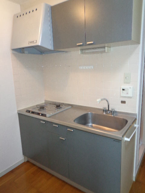 Kitchen. Gas two-burner system Kitchen