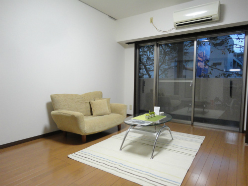 Living and room. Model room implementation in