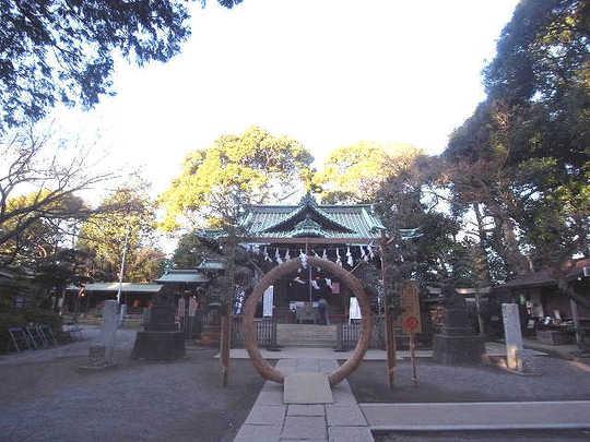 Other Environmental Photo. Venerable shrine of "Yoyogi Hachiman Shrine" up to 300m enshrined 800 years