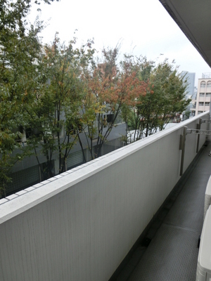 View. Trees planted in the courtyard ・ Green vista