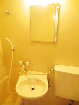 Washroom. Mirror to wash basin portion is also (image)