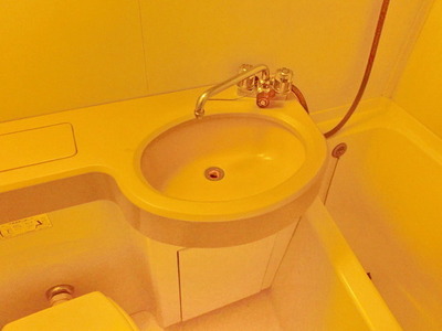 Washroom. Wash basin