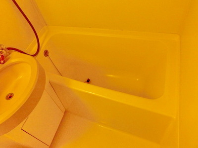 Bath. Spacious bathroom