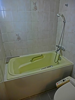 Bath. Bathroom