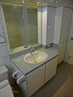 Washroom. Wash basin