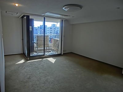 Living and room. Living-dining
