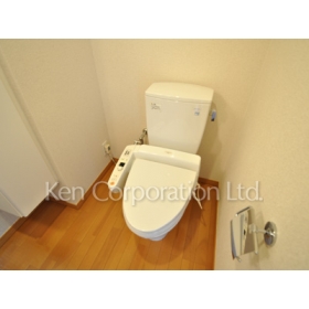 Toilet. Shoot the same type the third floor of the room. Specifications may be different.