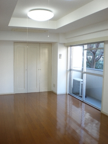 Living and room. Living