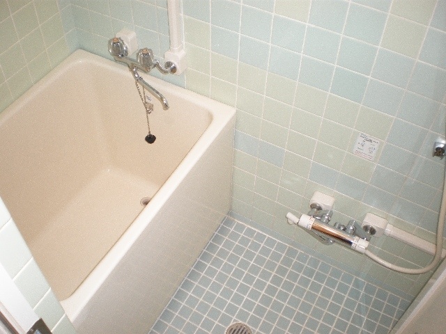 Bath. Bathroom