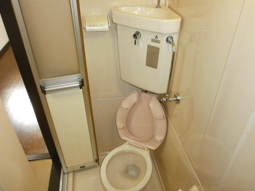 Toilet. Toilet