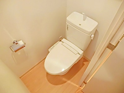 Toilet. Warm water washing toilet seat