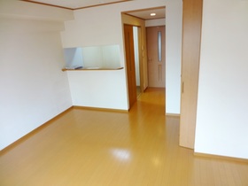 Living and room. closet