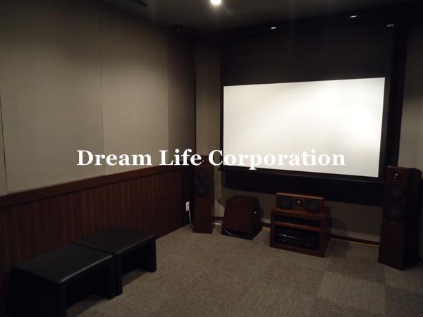 Other common areas. Theater Room
