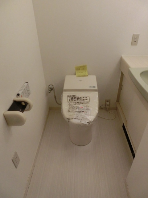 Toilet. A new