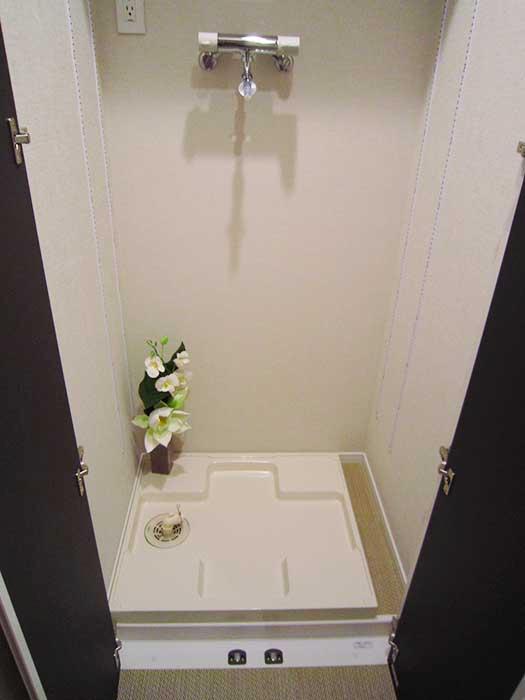 Other introspection. Door with a washing machine Storage