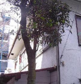 Other room space