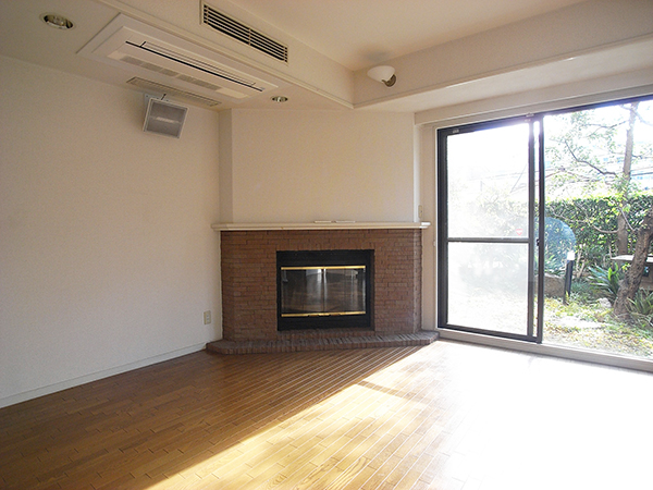 Living and room. fireplace