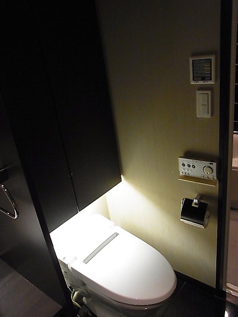 Toilet. Toilet