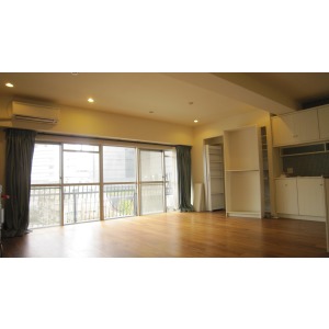 Living and room. Living