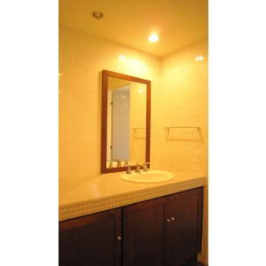 Washroom. Independent wash basin