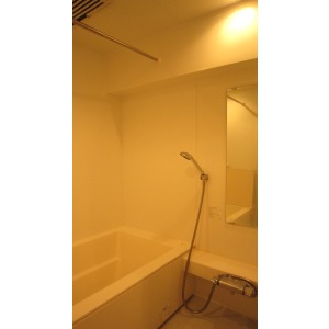 Bath. Bathroom Dryer