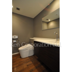 Toilet. Shoot the same type second floor of the room. Specifications may be different.